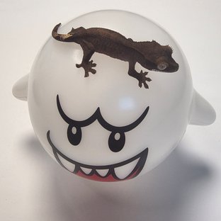 다크 블랙 챠콜 카푸치노