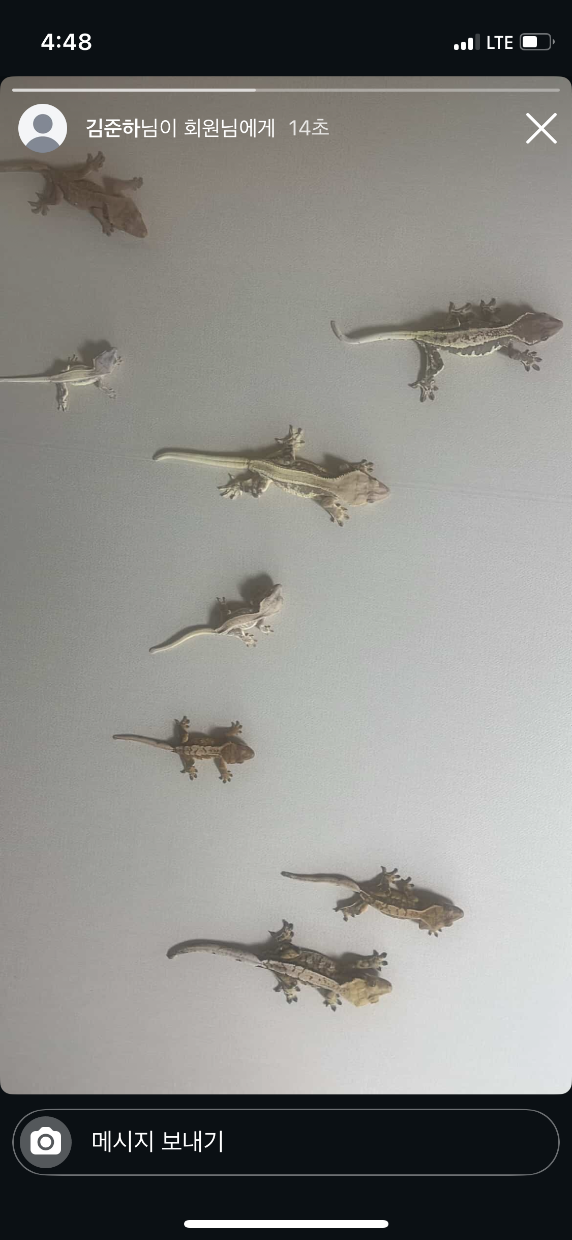 빵빵이크레
