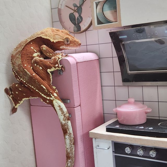 바이 화이트포트홀