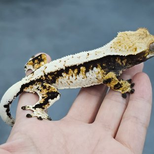 ✨2엑
