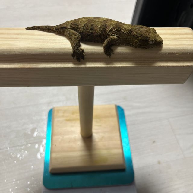누아나