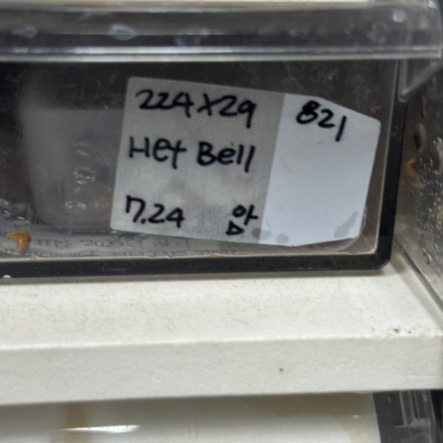 인페르노 텐저린