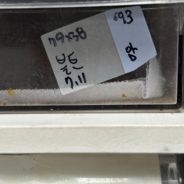 블러드 트램퍼알비노