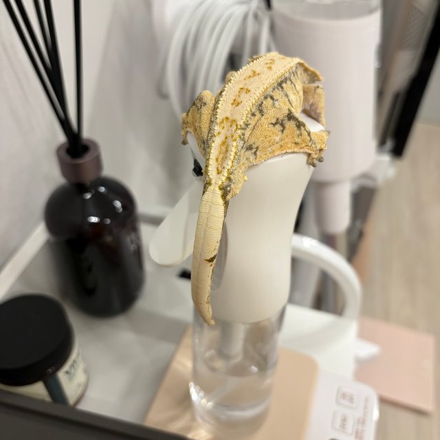 익스트림할리퀸