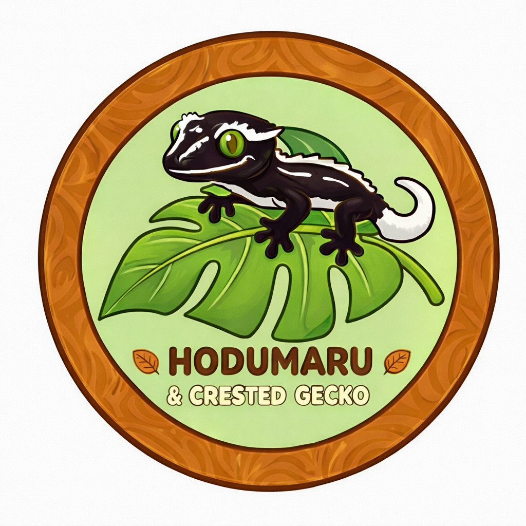 부산호두마루파파