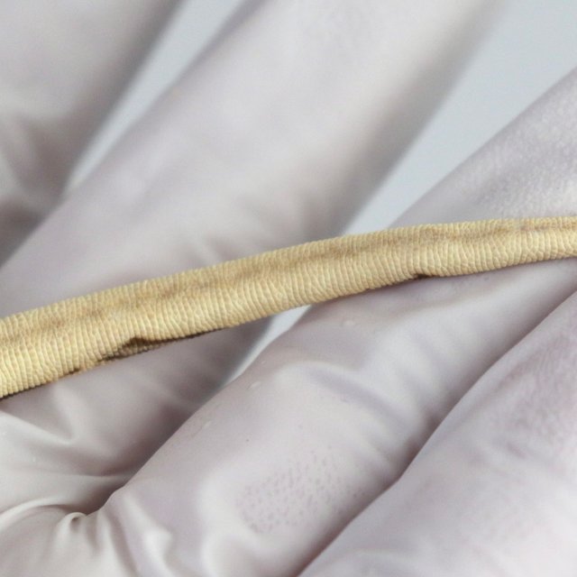 텐저린 슈퍼스트라이프 풀핀 화이트스팟 트라이