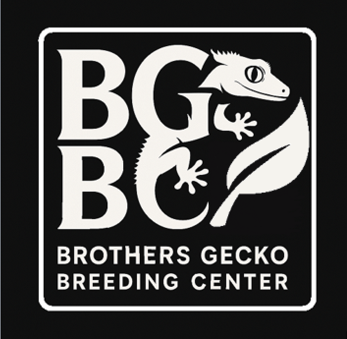 BGBC