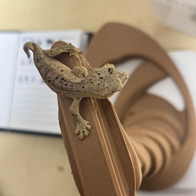 달마시안 슈퍼달마시안