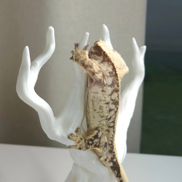 노멀 화이트 쿼드 핀스트라이프