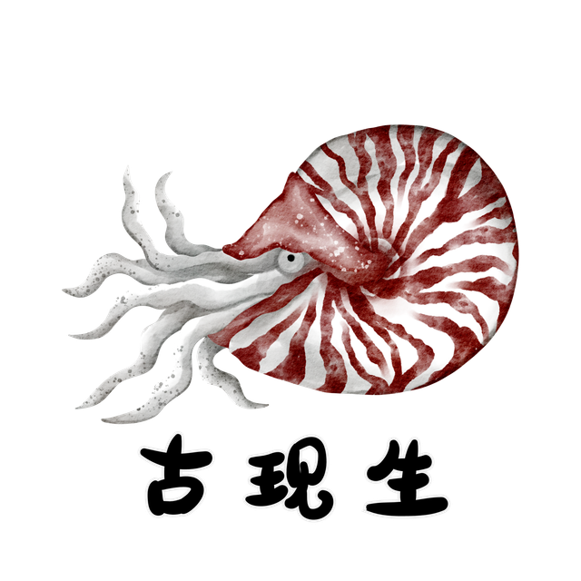 노멀