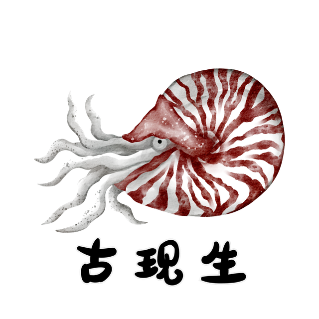 노멀