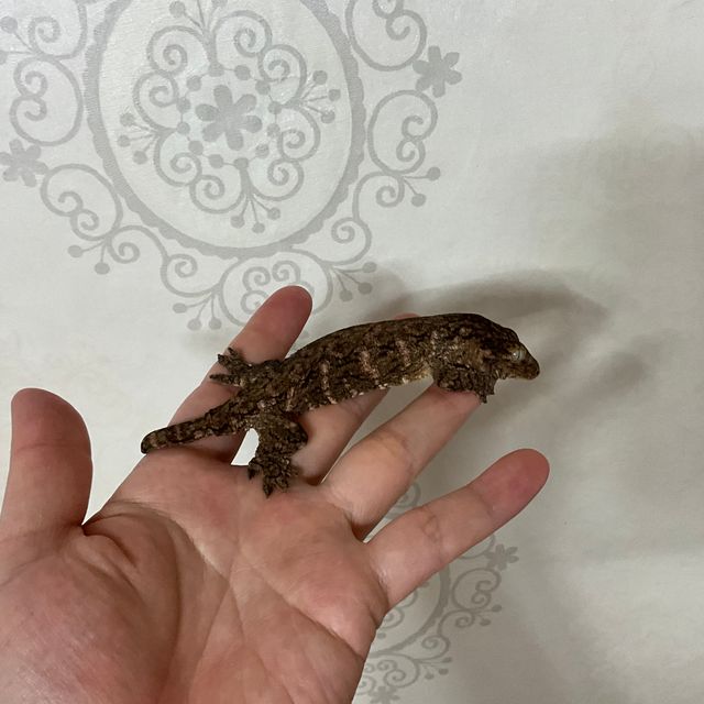 카나와
