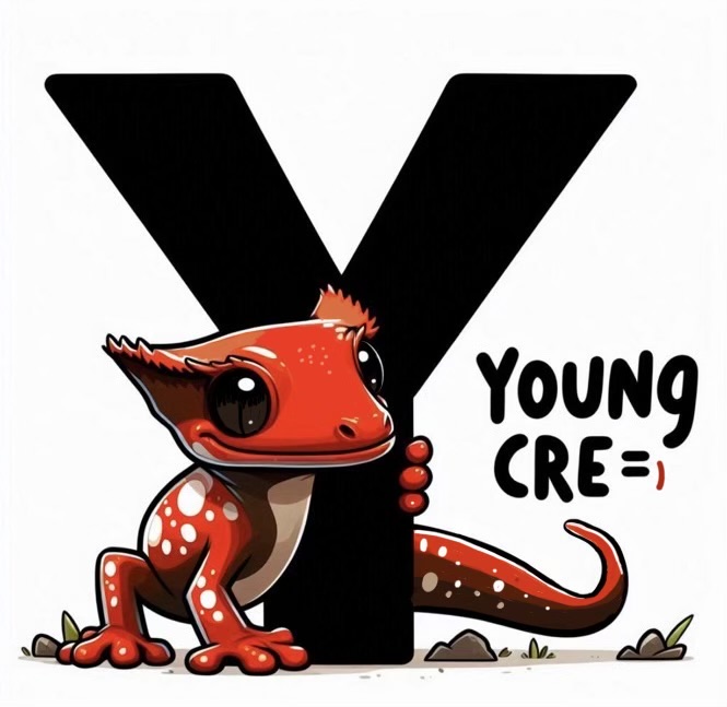 YoungCre