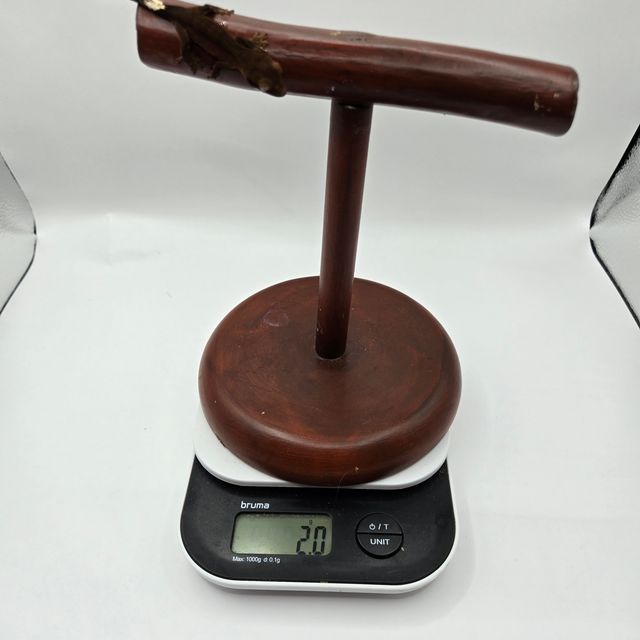 챠콜