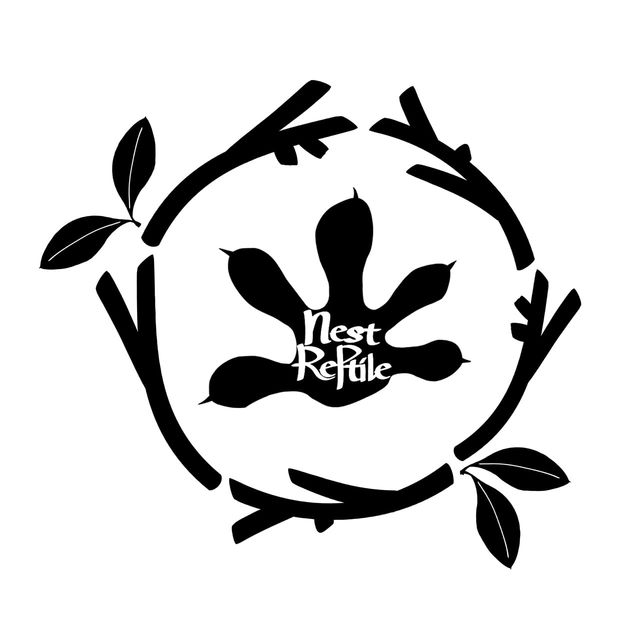 챠콜