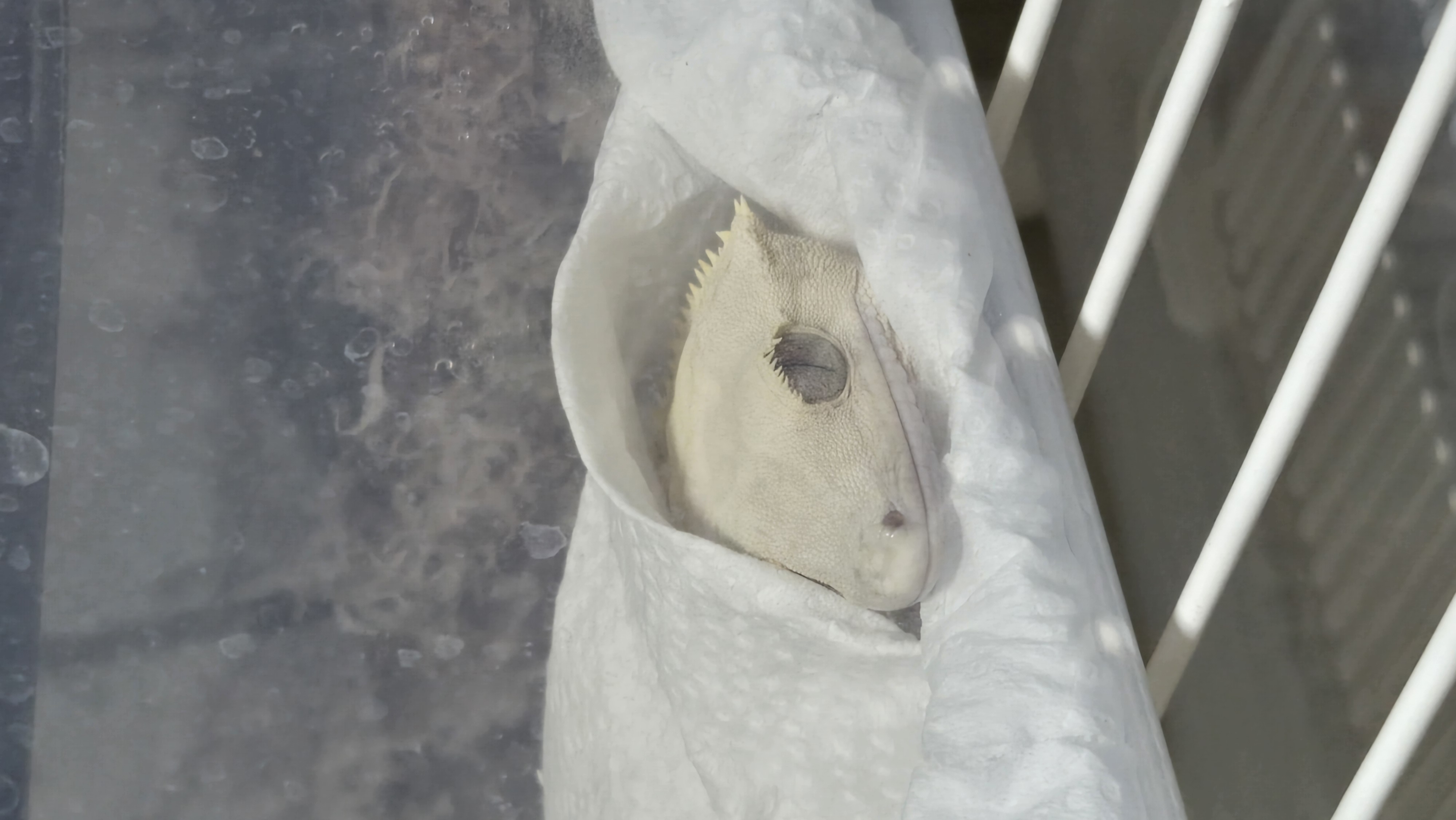 청주소규모크레