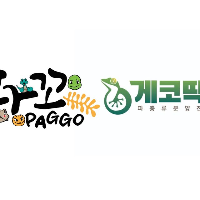 노멀
