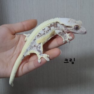 크림