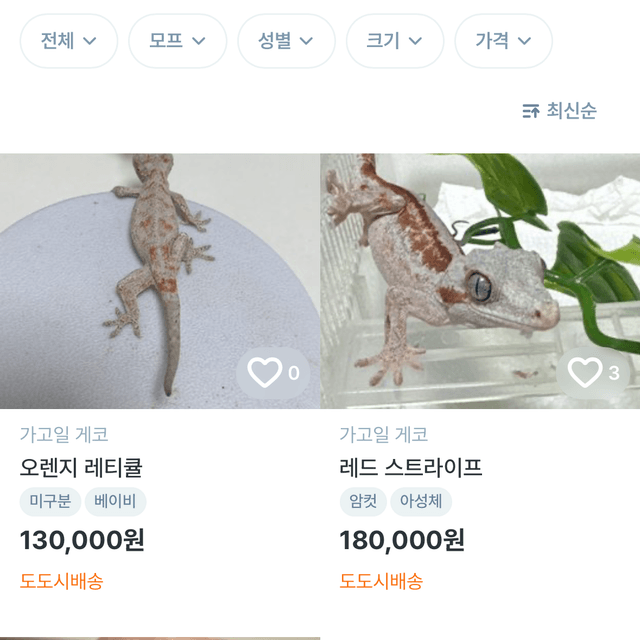 노멀 레드 옐로우 오렌지 레티큘