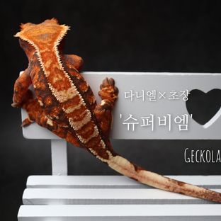 비엠