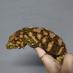 볼트