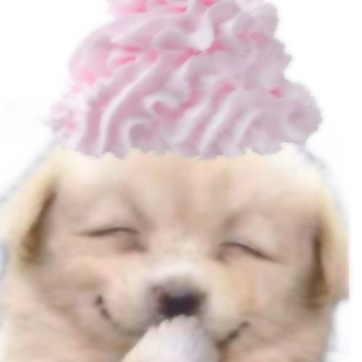 크레래레