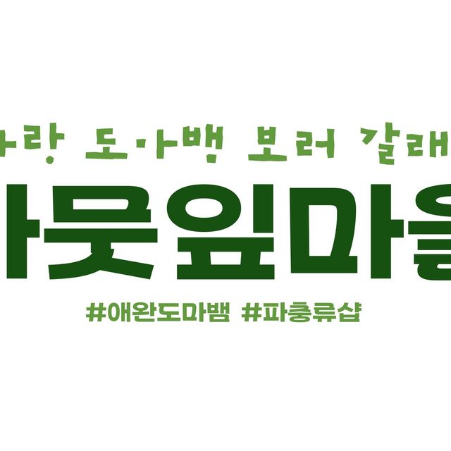 릴리화이트