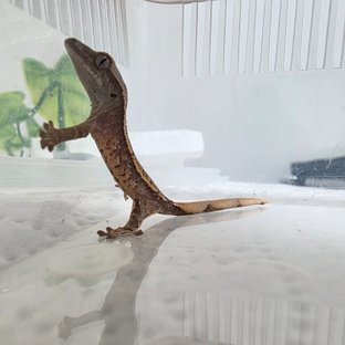 23번