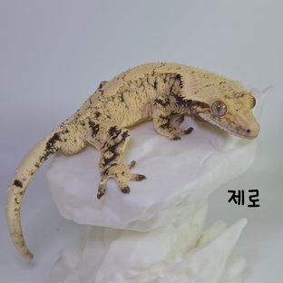 제로