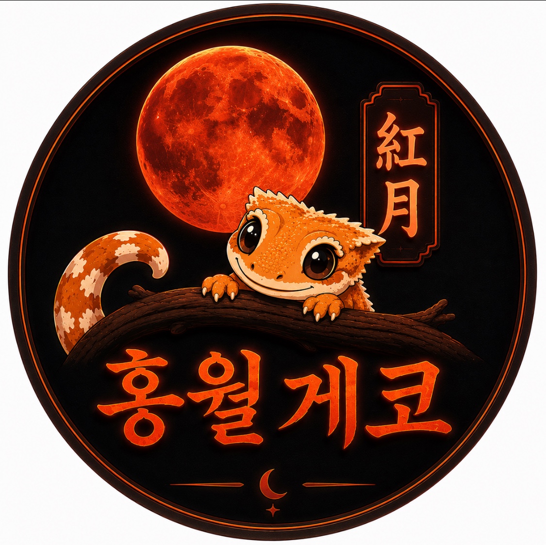 홍월게코