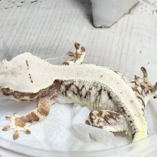 ?153