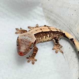 ?152