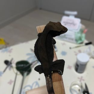 A1