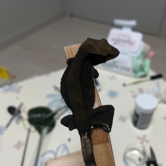 챠콜