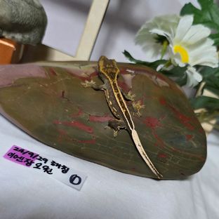오닉스 엠티백