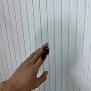 핀스트라이프 챠콜