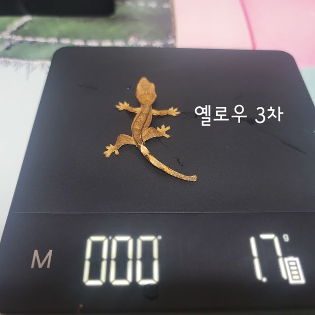 옐로우