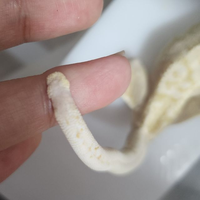 레드 핀스트라이프 트라이