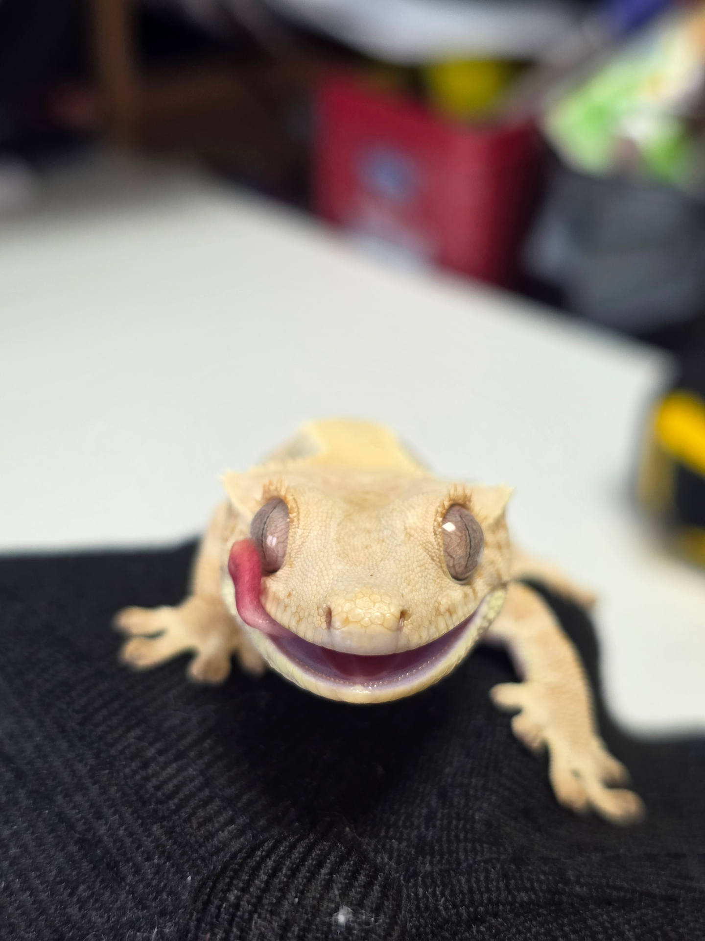 A3