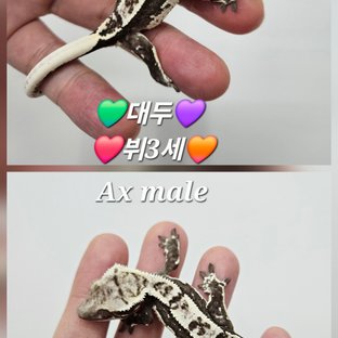 뷔4*루이홉딸