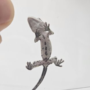 뷔3세