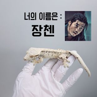 장첸