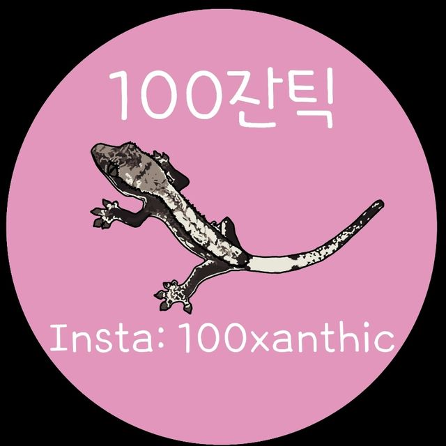 아잔틱