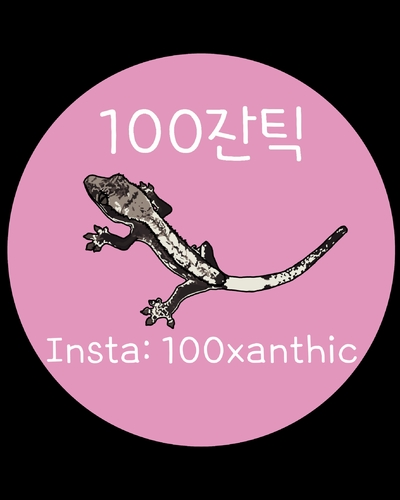 100잔틱