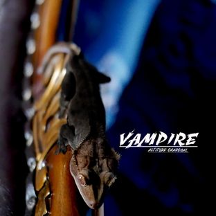 VAMPIRE