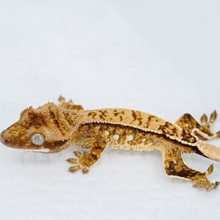 S939