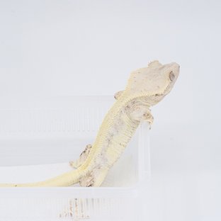 940