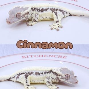 시나몬