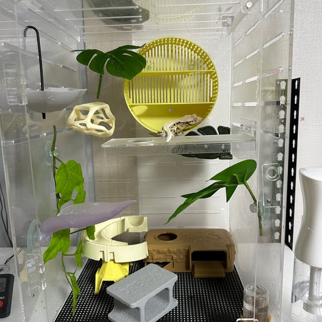 릴리화이트 솔리드백