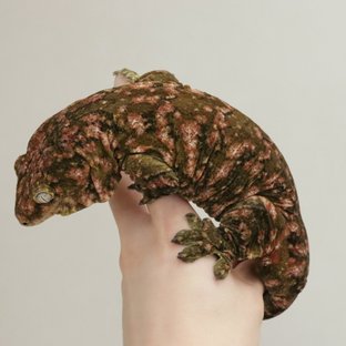트루컬러 숫